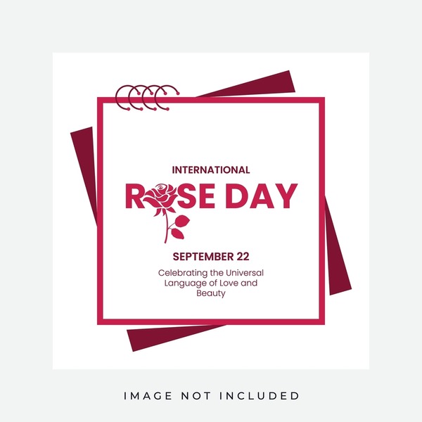 instagram账号购买